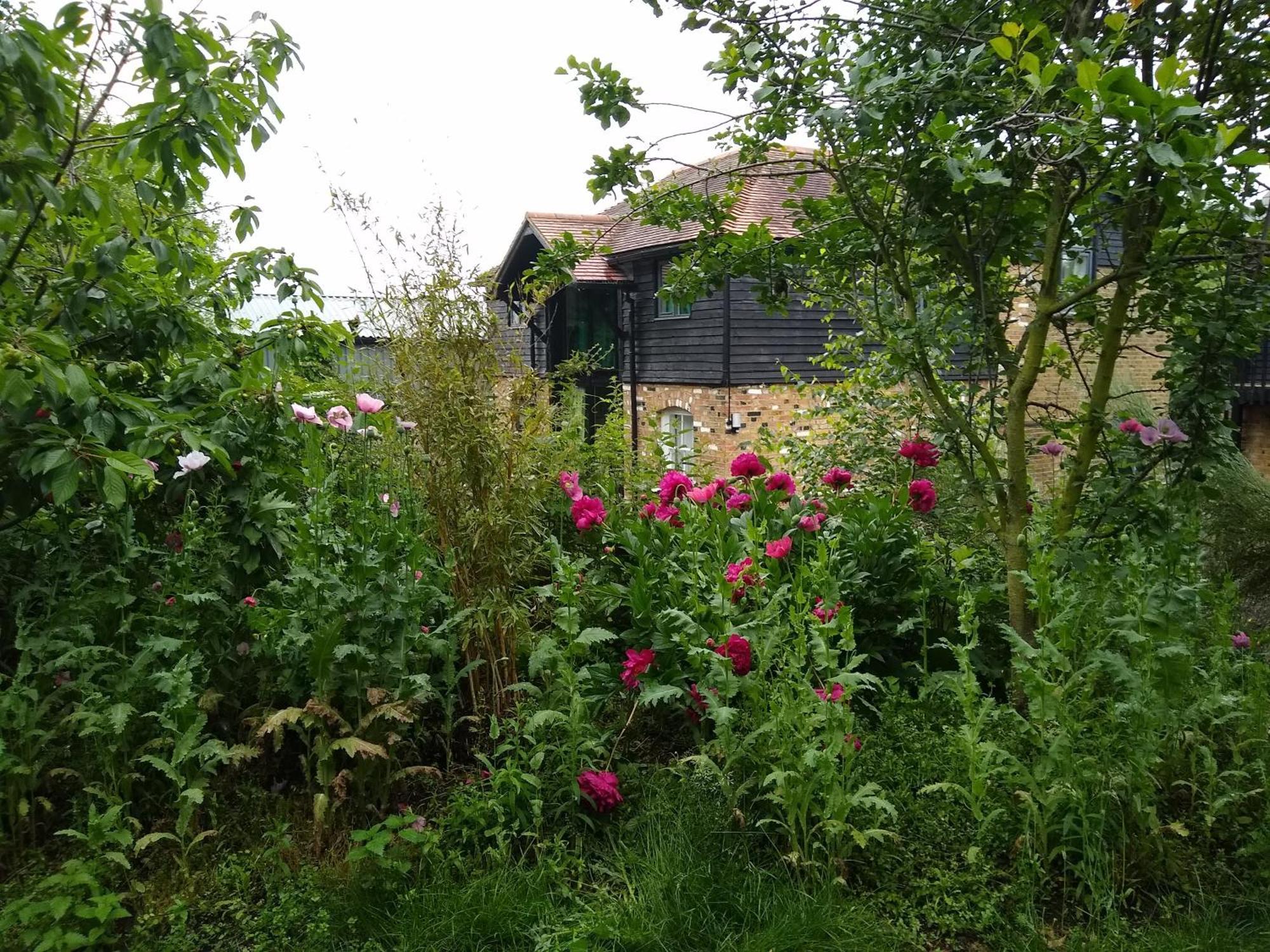 Watercress Barns Apartamento Sittingbourne Exterior foto