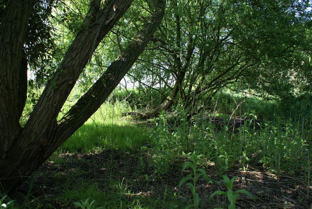 Watercress Barns Apartamento Sittingbourne Exterior foto